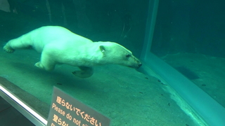 20180430103243(1).jpg