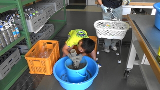20180807142726(3).jpg